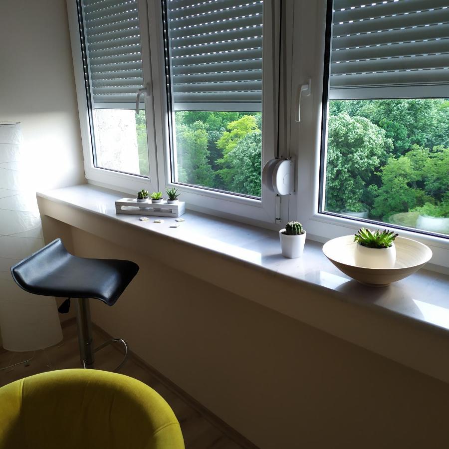 Diva Apartman Aranđelovac Exteriér fotografie